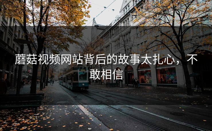 蘑菇视频网站背后的故事太扎心，不敢相信