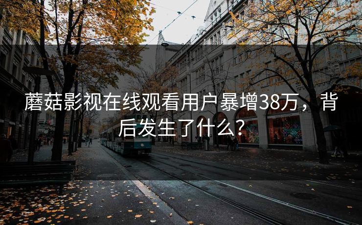 蘑菇影视在线观看用户暴增38万，背后发生了什么？