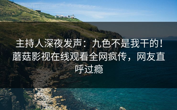 主持人深夜发声：九色不是我干的！蘑菇影视在线观看全网疯传，网友直呼过瘾