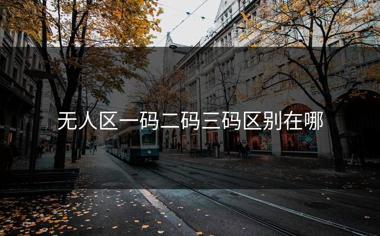 无人区一码二码三码区别在哪