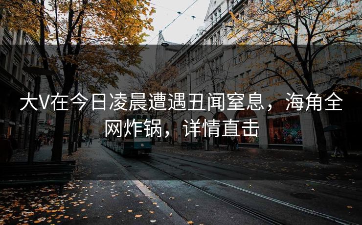 大V在今日凌晨遭遇丑闻窒息，海角全网炸锅，详情直击