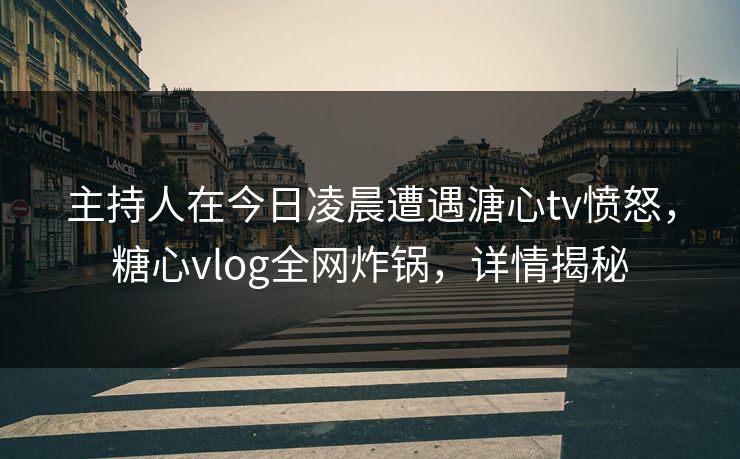 主持人在今日凌晨遭遇溏心tv愤怒，糖心vlog全网炸锅，详情揭秘