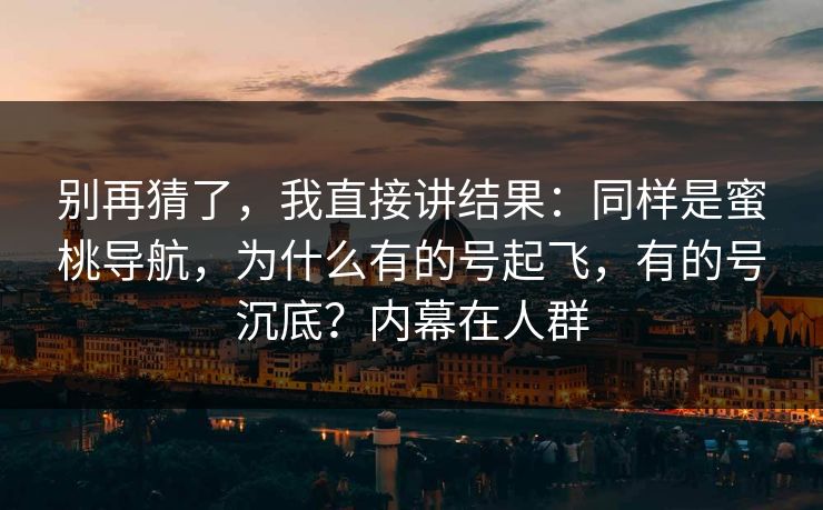 别再猜了，我直接讲结果：同样是蜜桃导航，为什么有的号起飞，有的号沉底？内幕在人群
